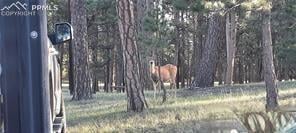 13395 Frank Rd, Colorado Springs, CO 80908