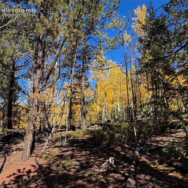 1341 Calcite Dr, Divide, CO 80814