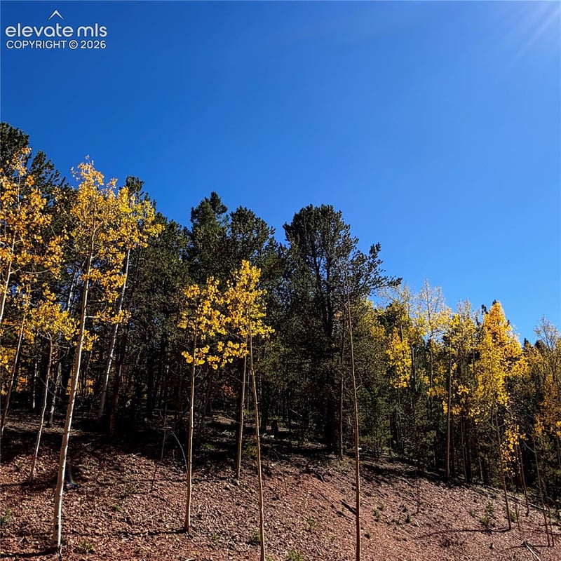 1341 Calcite Dr, Divide, CO 80814