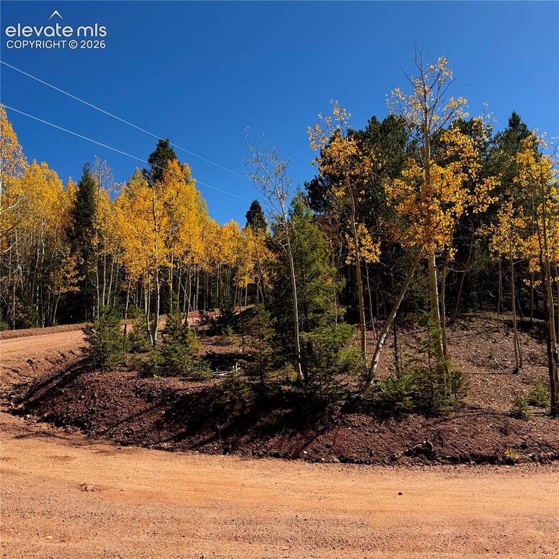 1341 Calcite Dr, Divide, CO 80814