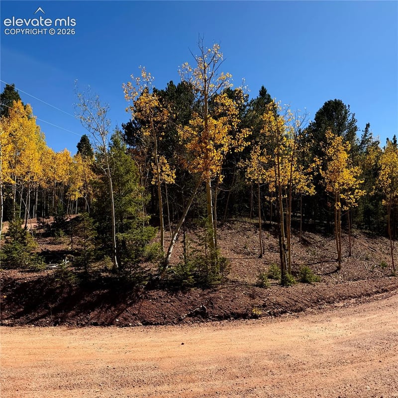 1341 Calcite Dr, Divide, CO 80814