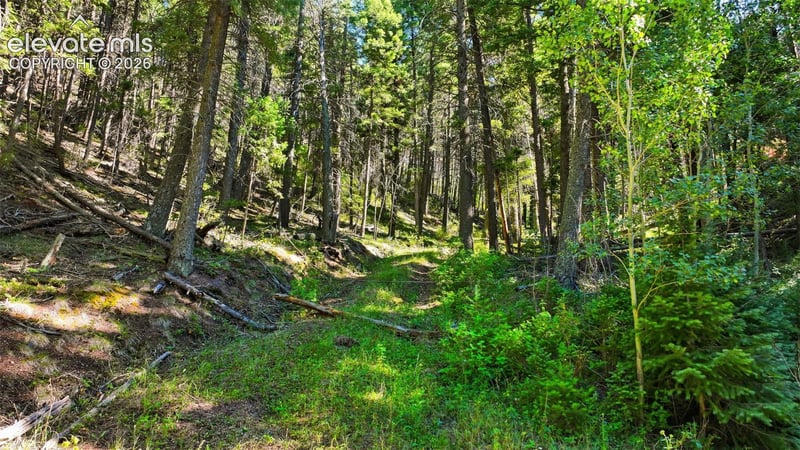 13446 S Firedog Way, Larkspur, CO 80118