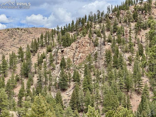 13526 N Highway 67, Woodland Park, CO 80863