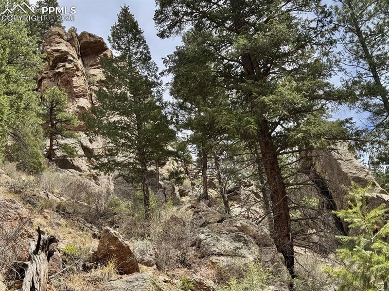 13526 N Highway 67, Woodland Park, CO 80863