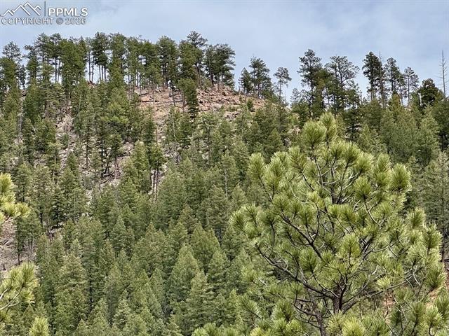 13526 N Highway 67, Woodland Park, CO 80863