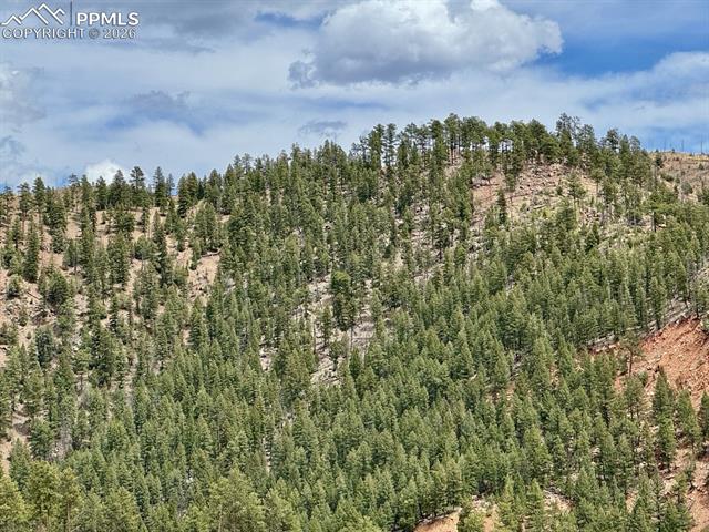 13526 N Highway 67, Woodland Park, CO 80863