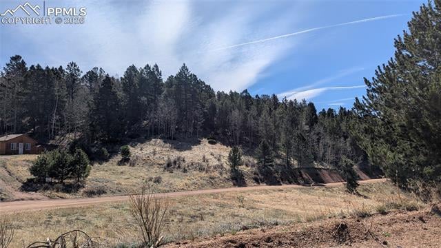 136 Valley Rd, Divide, CO 80814