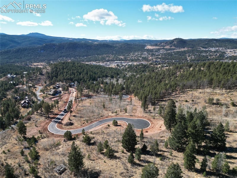 1360 Blue Haven Pl, Woodland Park, CO 80863