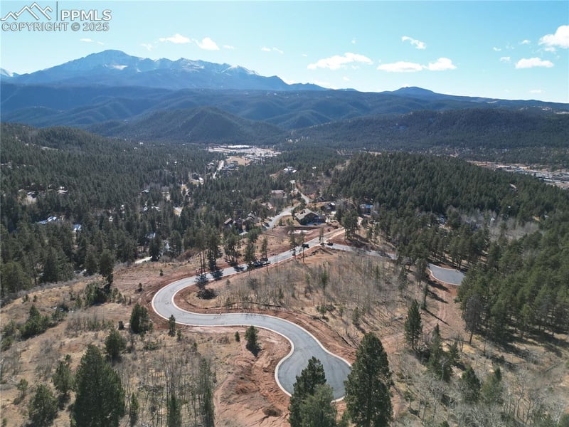 1360 Blue Haven Pl, Woodland Park, CO 80863
