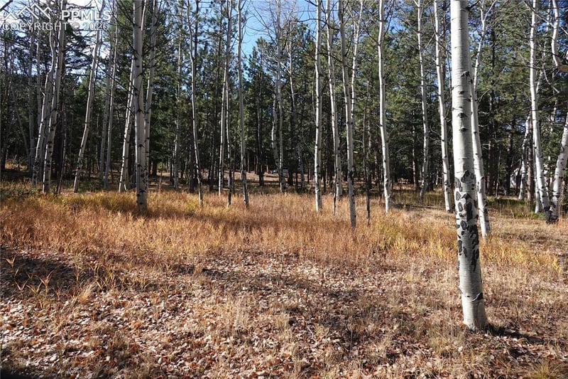 1360 Windflower Ln, Woodland Park, CO 80863