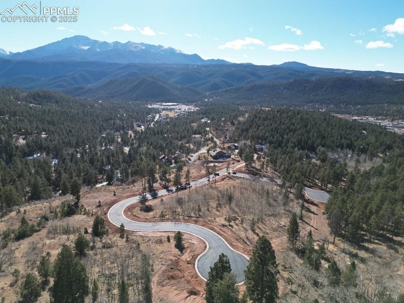 1365 Blue Haven Pl, Woodland Park, CO 80863