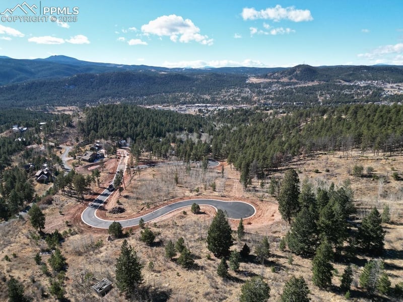 1365 Blue Haven Pl, Woodland Park, CO 80863