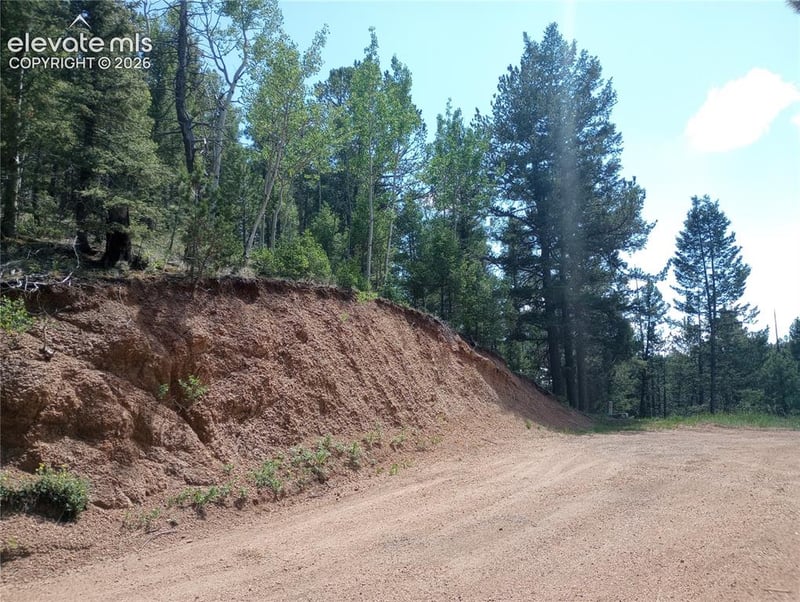 138 Glenwood Ln, Woodland Park, CO 80863