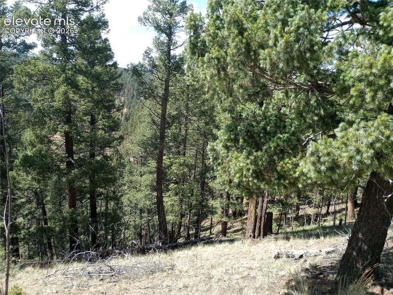 138 Glenwood Ln, Woodland Park, CO 80863