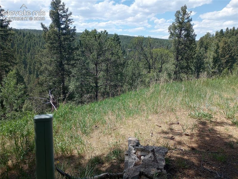 138 Glenwood Ln, Woodland Park, CO 80863