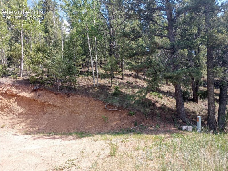 138 Glenwood Ln, Woodland Park, CO 80863