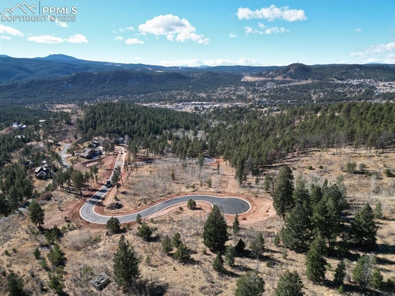 1380 Blue Haven Pl, Woodland Park, CO 80863