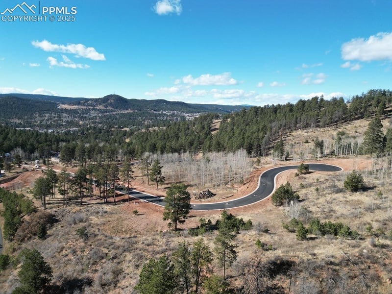1380 Blue Haven Pl, Woodland Park, CO 80863