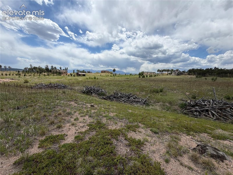 13810 Wildoak Dr, Black Forest, CO 80908