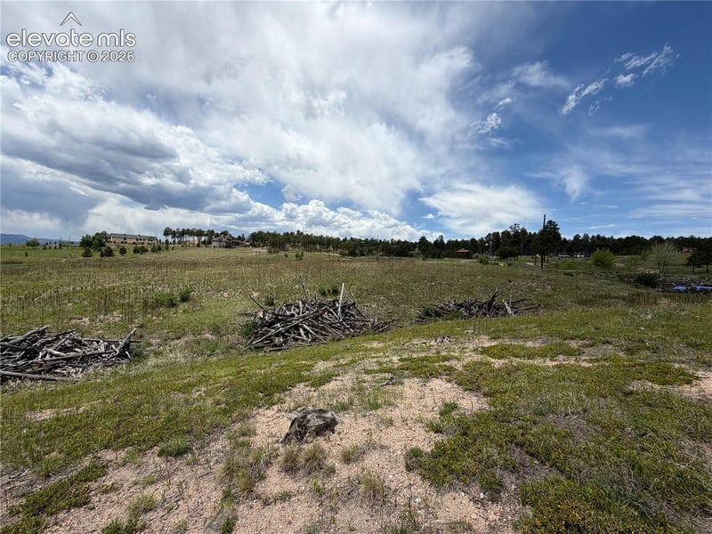 13810 Wildoak Dr, Black Forest, CO 80908