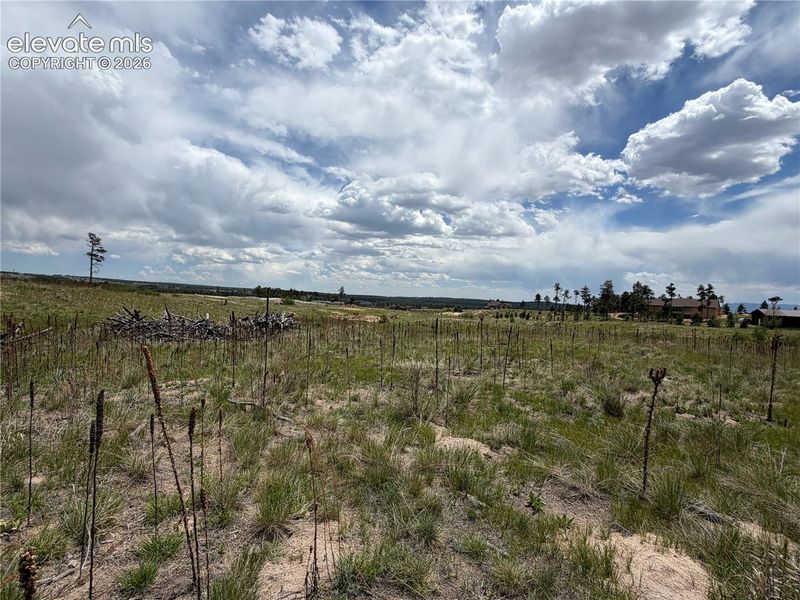 13810 Wildoak Dr, Black Forest, CO 80908