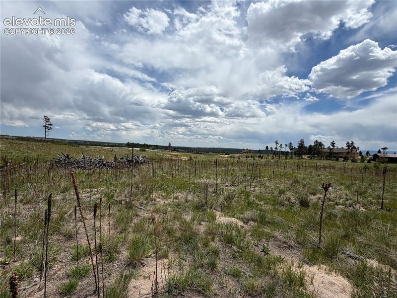 13810 Wildoak Dr, Black Forest, CO 80908