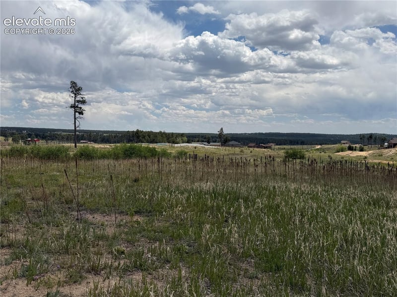 13810 Wildoak Dr, Black Forest, CO 80908