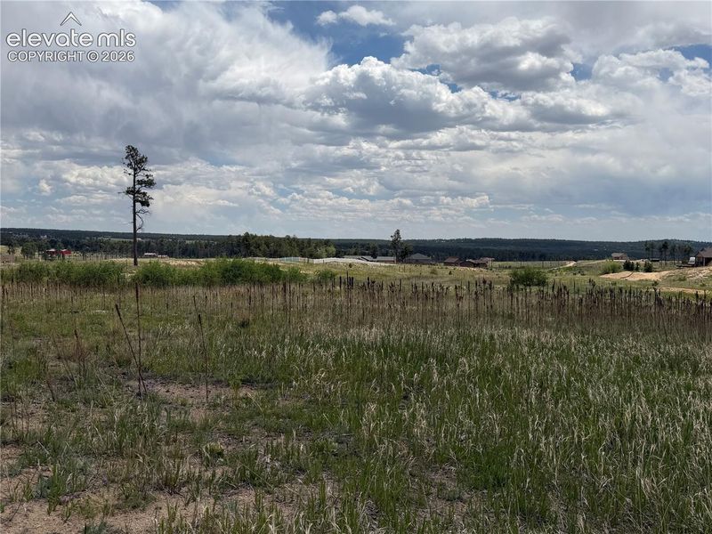 13810 Wildoak Dr, Black Forest, CO 80908