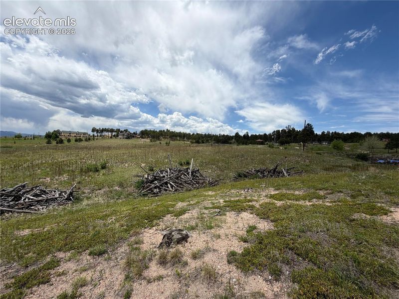 13810 Wildoak Dr, Black Forest, CO 80908