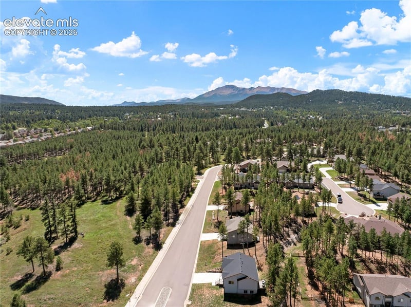 1382 Ridgestone Dr, Woodland Park, CO 80863