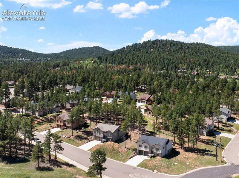 1382 Ridgestone Dr, Woodland Park, CO 80863