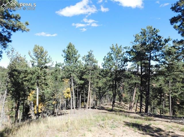 13886 Boulder Ln, Larkspur, CO 80118