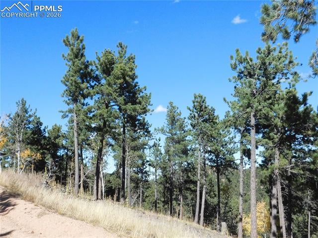13886 Boulder Ln, Larkspur, CO 80118