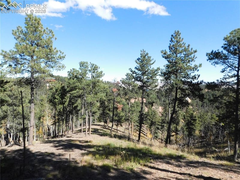 13886 Boulder Ln, Larkspur, CO 80118