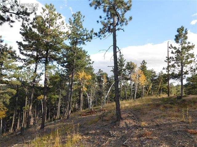 13910 Boulder Ln, Larkspur, CO 80118