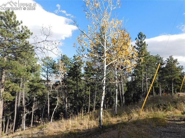 13910 Boulder Ln, Larkspur, CO 80118