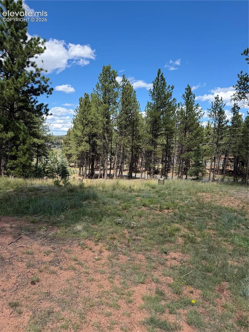 1396 Roberts Ranch Rd, Woodland Park, CO 80863