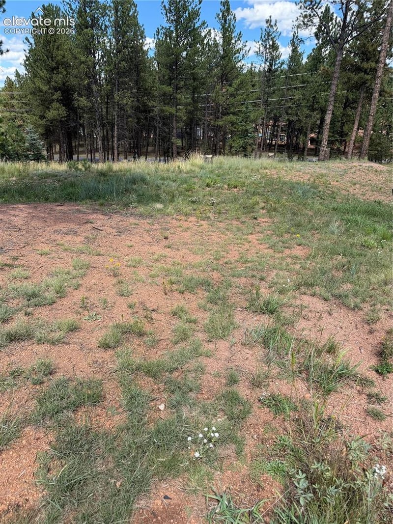1396 Roberts Ranch Rd, Woodland Park, CO 80863