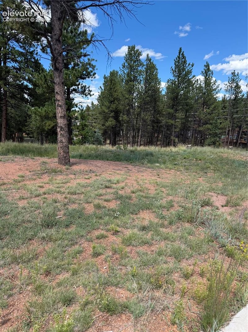 1396 Roberts Ranch Rd, Woodland Park, CO 80863