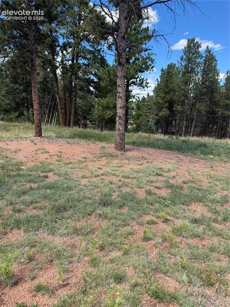 1396 Roberts Ranch Rd, Woodland Park, CO 80863