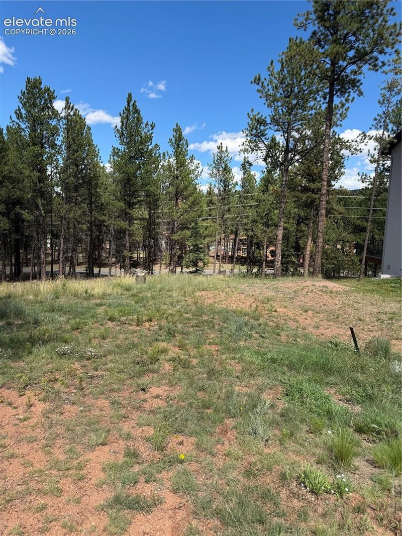1396 Roberts Ranch Rd, Woodland Park, CO 80863
