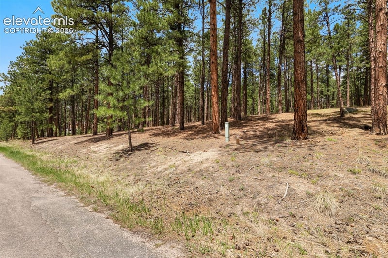 140 E Stirrup Trl, Monument, CO 80132