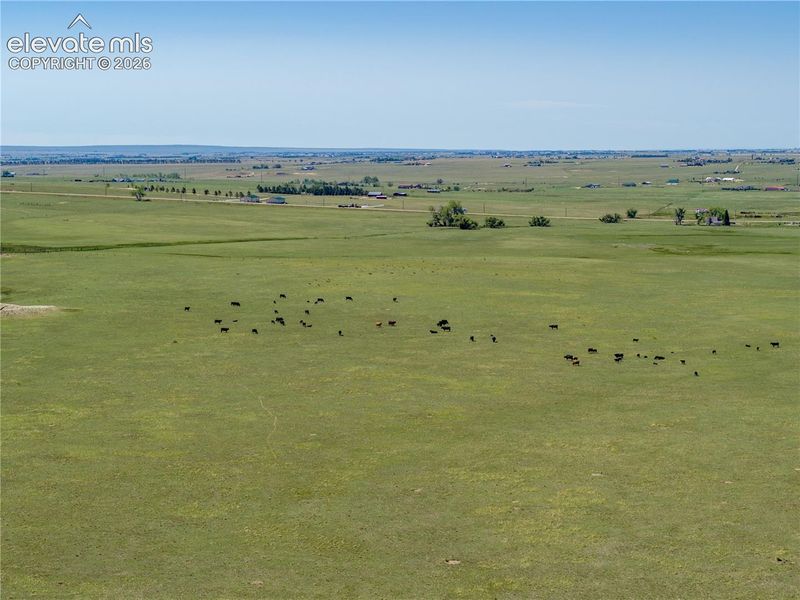 14333 Smith Ranch Rd, Peyton, CO 80831