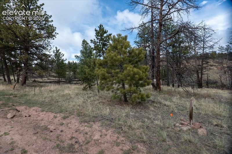 144 Chapparal Trl, Florissant, CO 80816