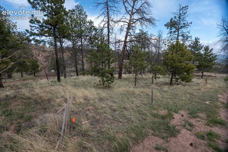 144 Chapparal Trl, Florissant, CO 80816
