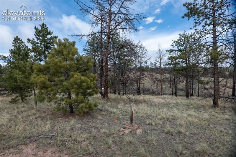 144 Chapparal Trl, Florissant, CO 80816