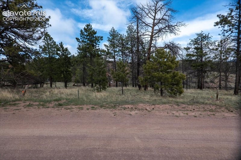 144 Chapparal Trl, Florissant, CO 80816