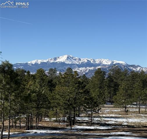 14432 Quartz Creek Dr, Colorado Springs, CO 80908