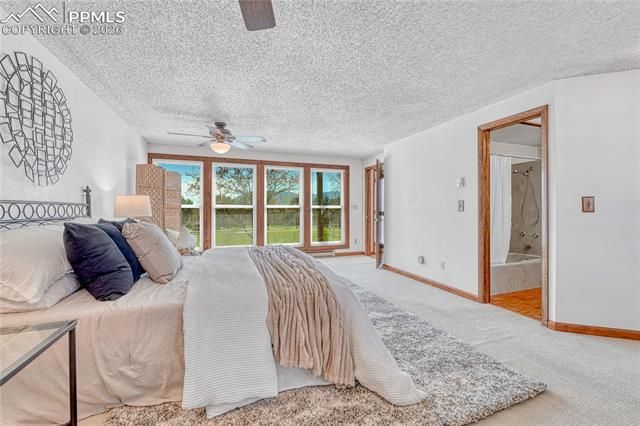 1459 Madison St, Colorado Springs, CO 80907