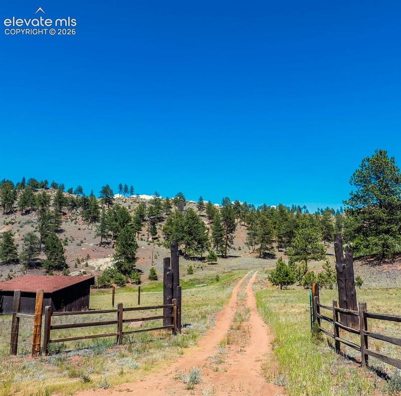 146 Toms Ranch Rd, Lake George, CO 80827
